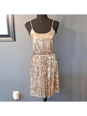 NWOT Express Silver Sequins Dress Size Small